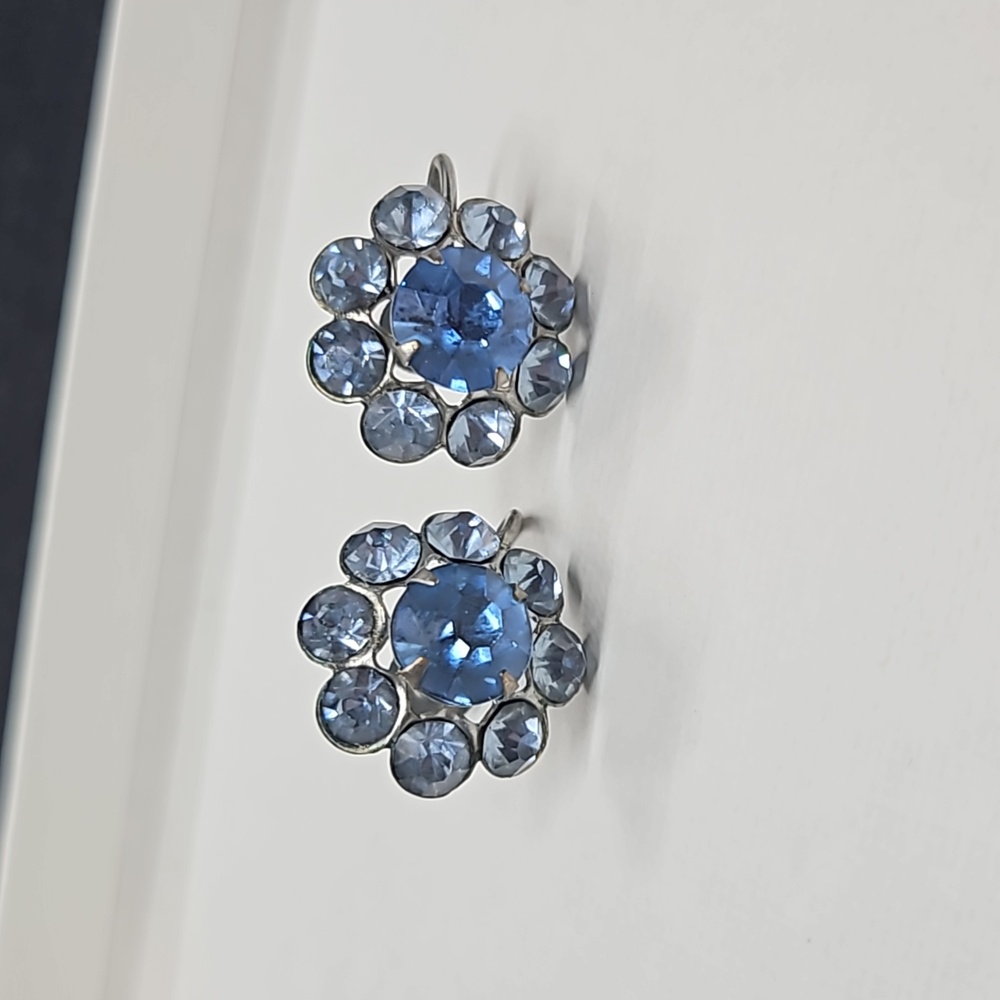 Vintage blue rhinestone flower screwback earrings